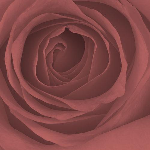 Administration and soft skills